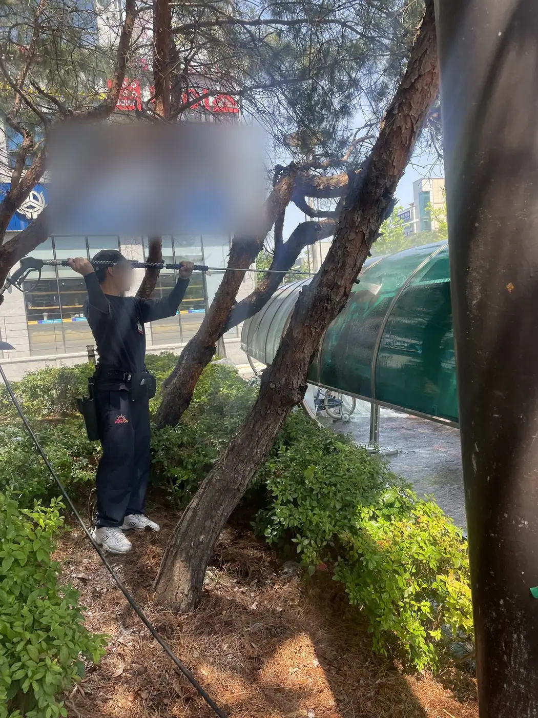 지붕에서 내려온 물이 빠지는 쪽을 확인하며 세척하는 장면