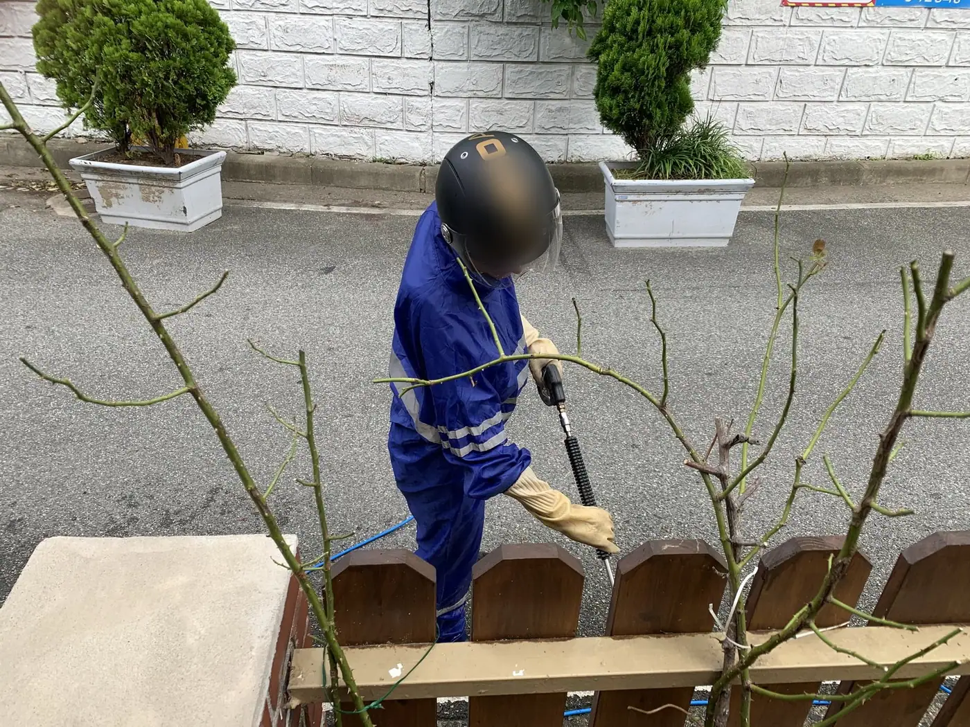 화단 위로 늘어진 가지 주변을 정리하며 세척하는 장면